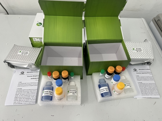 China Porcine Epidemic Diarrhea (PED) Antibody ELISA diagnostic kit for animals supplier