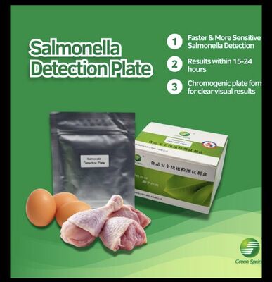 China Salmonella Detection Plate applicable for the rapid testing of meat and meat products, eggs and egg products, cold drinks, etc. supplier