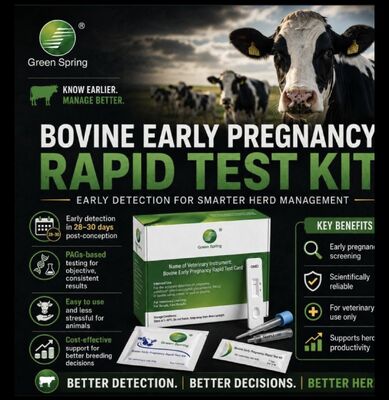 China Bovine Early Pregnancy Rapid Test early detection 28 days for veterinary use only easy touse supplier