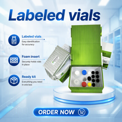 China LSY-30036B Bovine Brucellosis Indirect ELISA Antibody Test Kit Brucella Abortus assay supplier