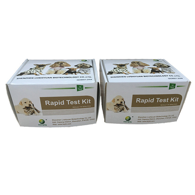 Canine Influenza Virus(CIV) Ag Rapid Test card  (colloidal gold method) to detect samples in the nasal cavity or phary supplier