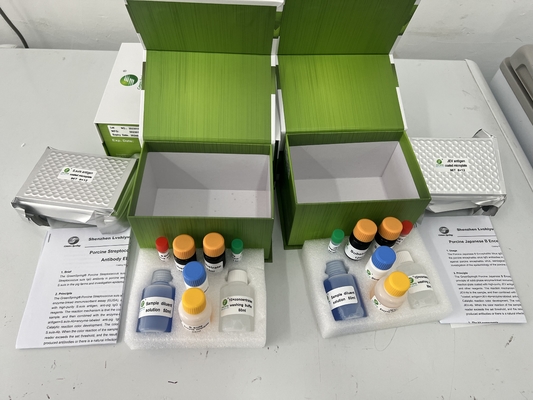 Livestock Diagnostic Porcine Reproductive and Respiratory Syndrome Virus (PRRSV) Antibody ELISA assay kit supplier