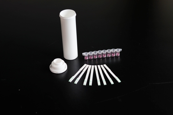 LSY-20101 Beta-lactams, Tetracyclines, Streptomycin and theChloramphenicol 4-in-1 Combo rapid test strip supplier