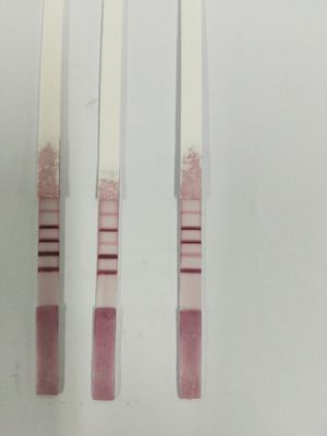 Spiramycin-Erythromycin-Tylosin&Tilmicosin-Lincomycin 4in1 Combo Rapid Test Strip kit deteccin antibitico leche supplier