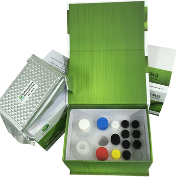 LSY-10073 Green Spring Cimeterol ELISA test kit to detect Cimeterol residue in urine and meat samples supplier