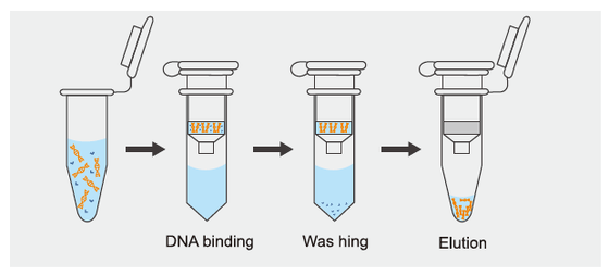 PA30A\01 A kit for the diagnosis of cattle diseases using PCR for foot-and-mouth disease 50T/kit Foot-and-Mouth Disease Virus-Universal (FMDV-U) nucleic acid test kit (Fluorescent RT-PCR) supplier