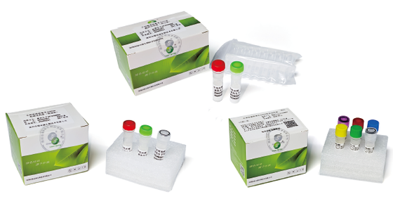 Brucella Melitensis Fluorescence PCR Kit Nucleic Acid Detection Kit for Brucella melitensis (Fluorescent PCR Method) supplier
