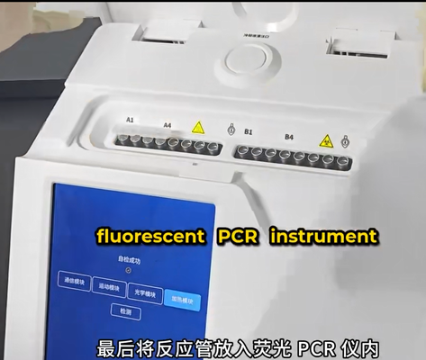 PA54A\01 A kit for the diagnosis of cattle diseases using PCR for diseases such as Brucellosis 50T/kit Nucleic Acid Detection Kit for Brucella abortus (Fluorescent PCR Method) supplier